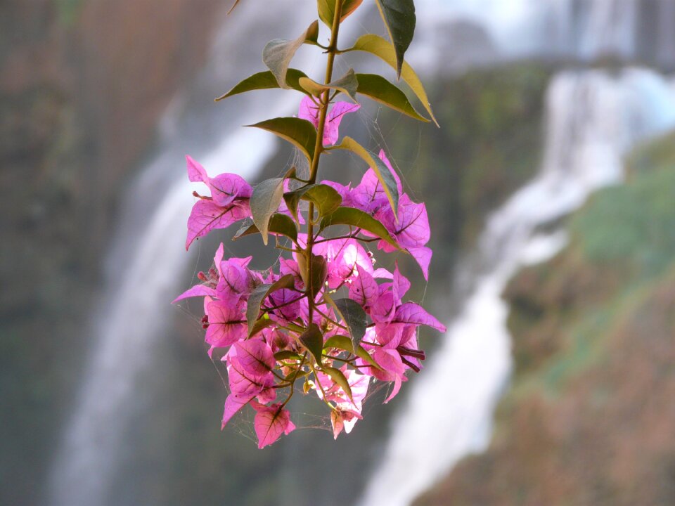 Waterfall nature water