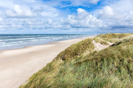 Sea dunes dune landscape photo