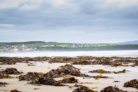 Landscape water coast