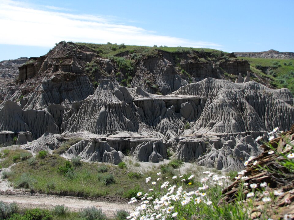 Alberta desert dinosaur