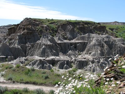 Alberta desert dinosaur