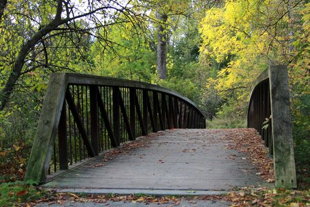 Wooden bridge path