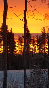 Morning sky nature landscapes