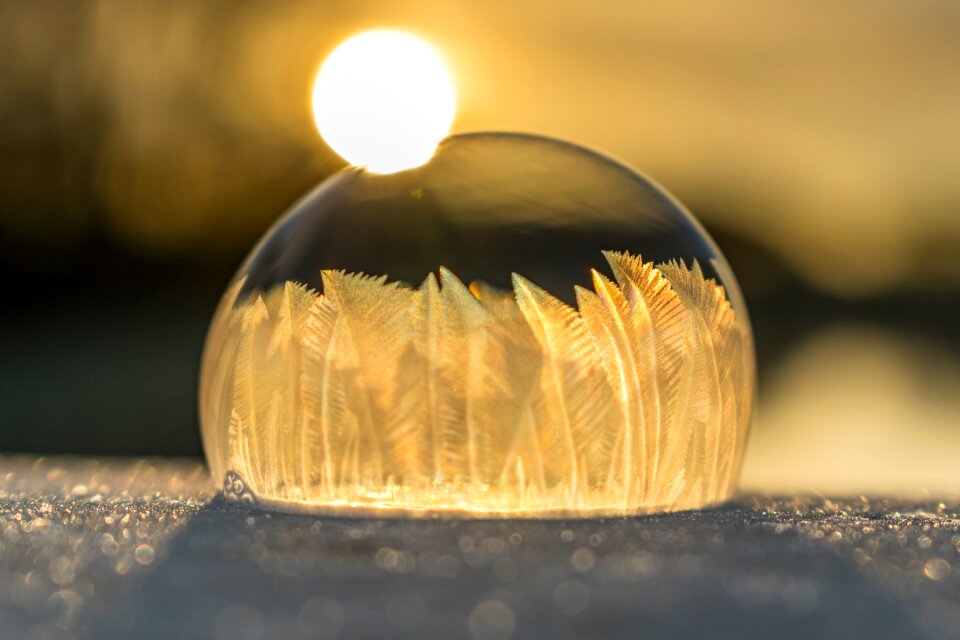 Cold winter frozen