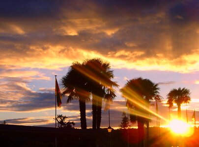 Pau boulevard des pyrenees sunset