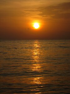 Sea sunset beach photo