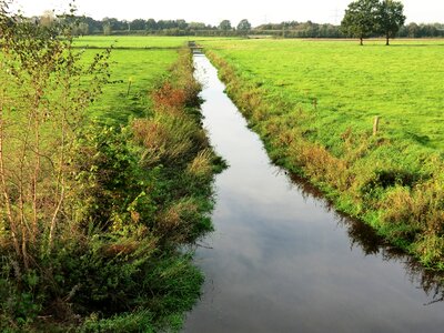 Bach water landscape