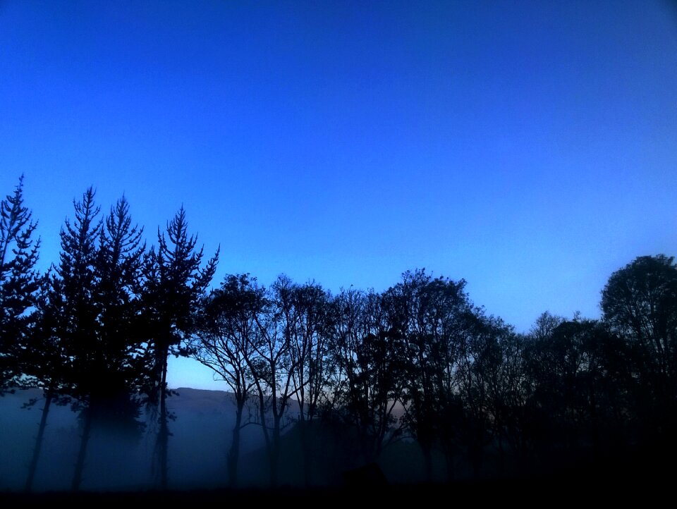 Sky landscape dawn