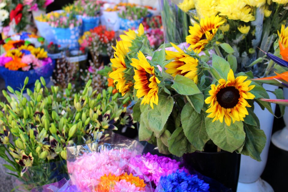 Flower bouquet flower bouquet