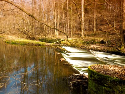 Landscape germany view
