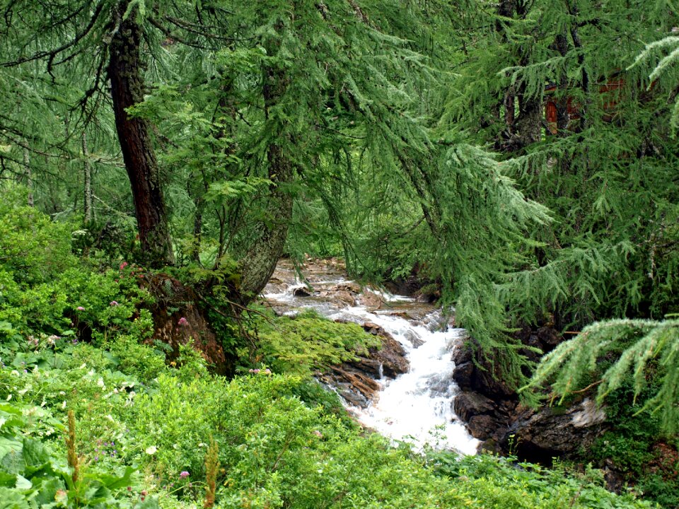 Water stream