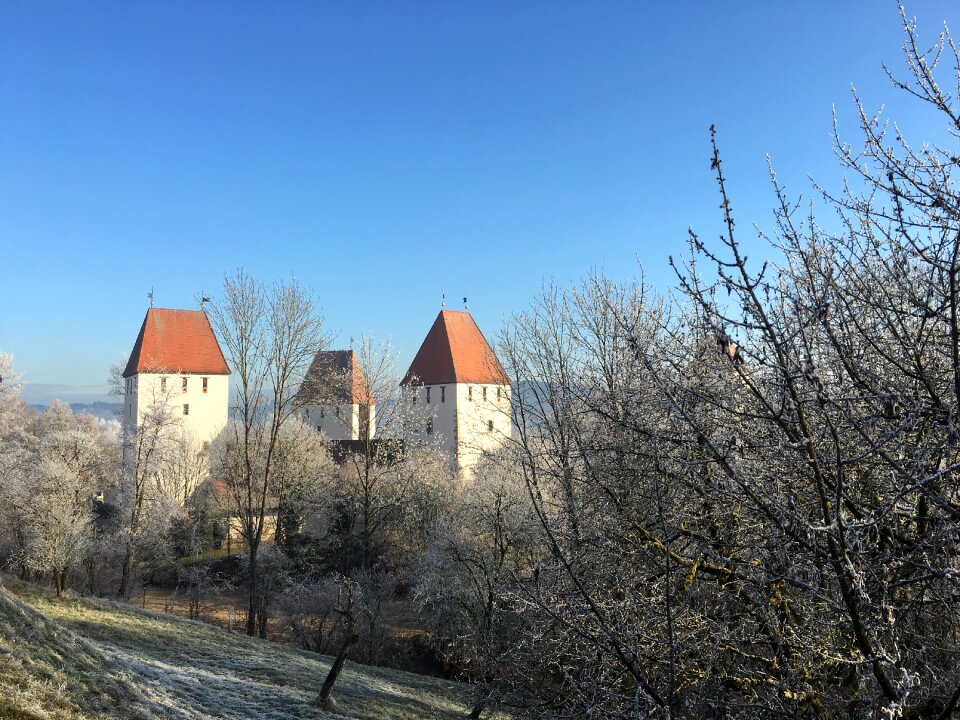 Winter sun iced frost