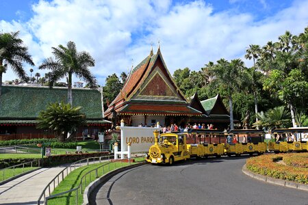 Rails loro parque tenerife