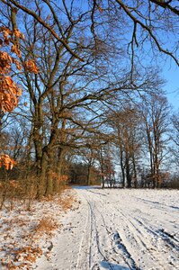 Snow season landscape