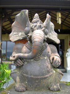 Vera buddhism animal