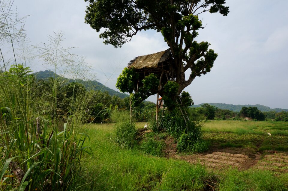 Banita tour tourism field