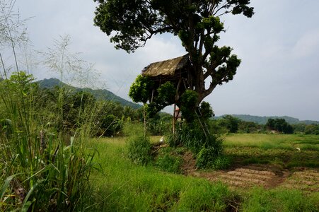 Banita tour tourism field