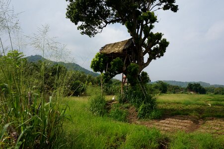 Banita tour tourism field photo