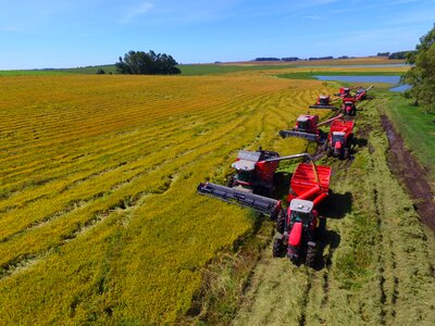 Tractor harvester massey ferguson
