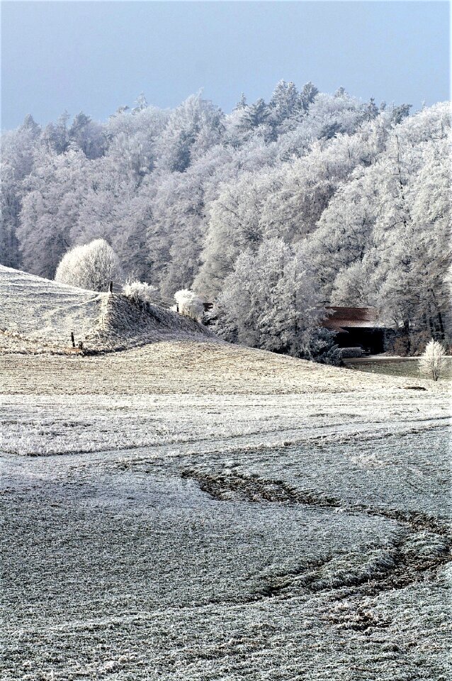 Snowy frost winter magic