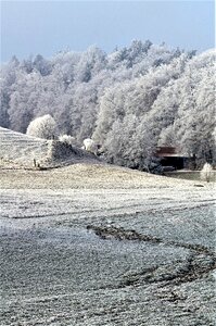 Snowy frost winter magic photo