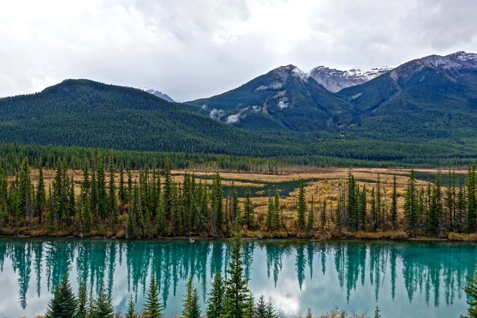 Wilderness scenic forest