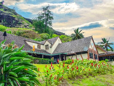 Hill tropical flowers photo