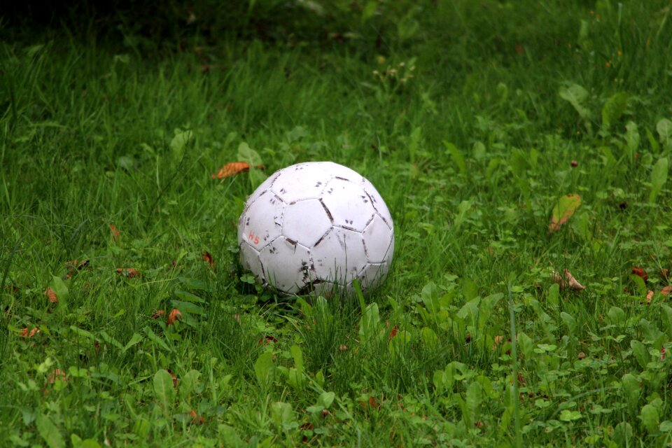 Grass meadow sport