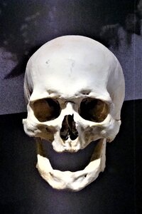 Weird skull and crossbones creepy photo