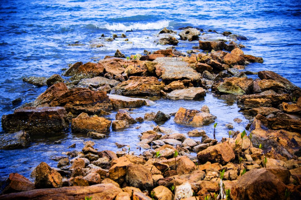 Costa landscape ocean photo