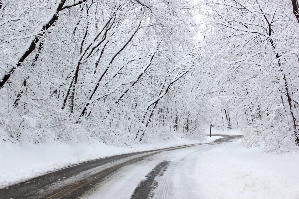 Nature cold frozen
