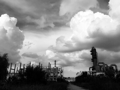 Waste plant black and white light and shade photo