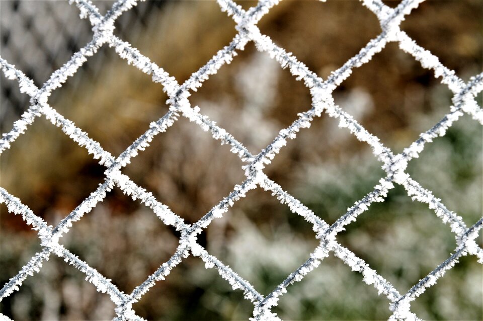 Snowy frost winter magic