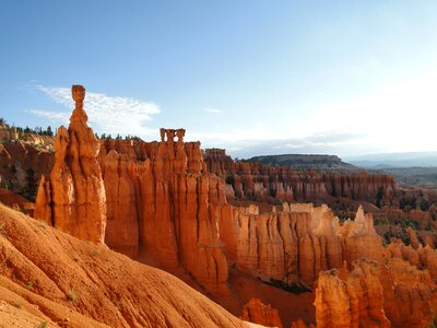 Thor hammer nature usa photo