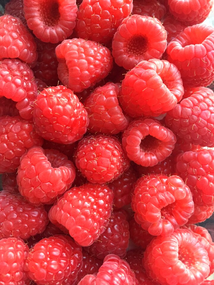 Summer red summer
