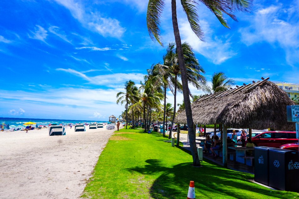 Beach sand coastline