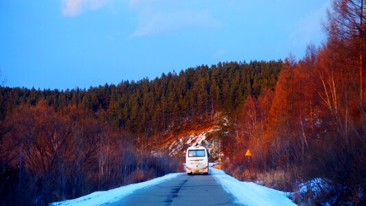 Road the bus natural photo