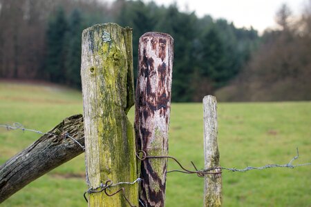 Fence post pasture meadow photo