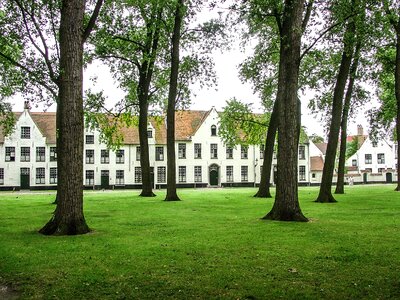 Building trees park photo