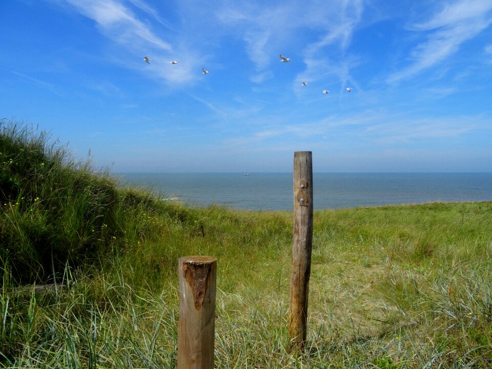 Dune grass outlook sea view photo