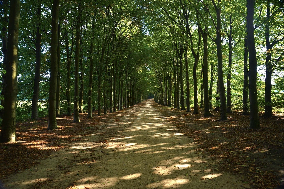 Parks paths pathways
