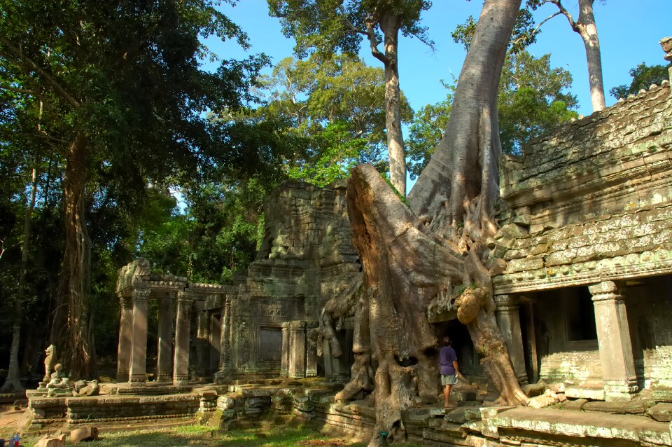 Cambodia roots temple
