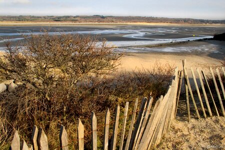 Sea sides nature
