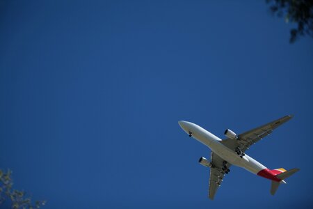 Sky flight aircraft