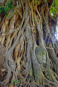 Thailand travel ayuthaya