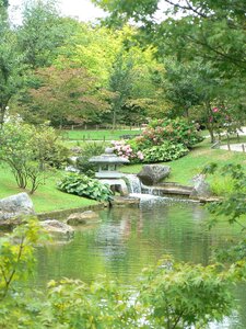 Garden japanese water photo