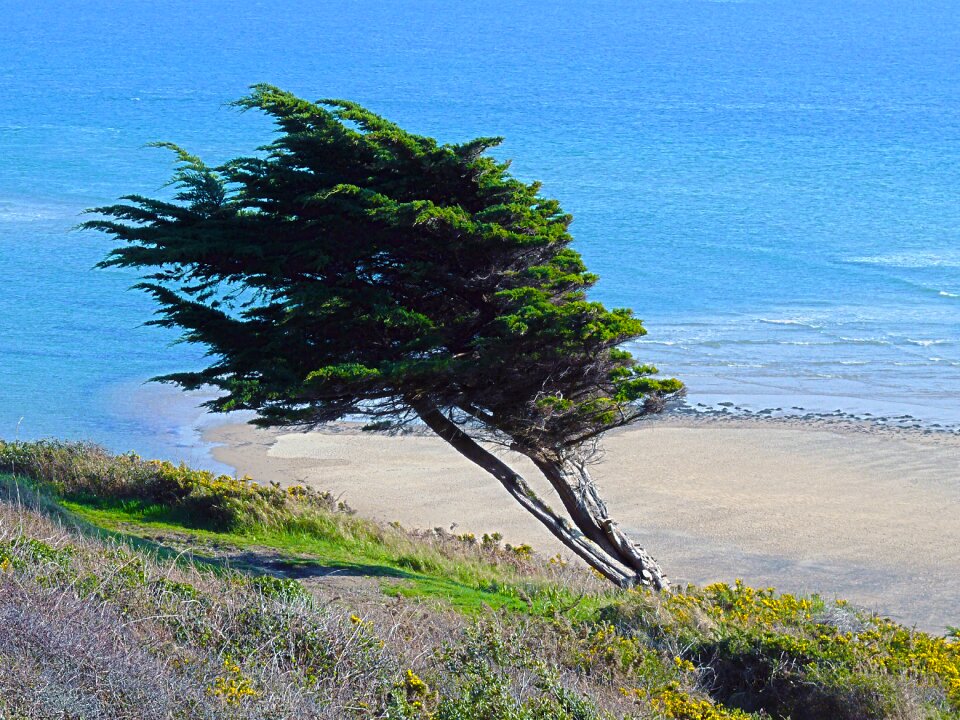 Beach ocean nature