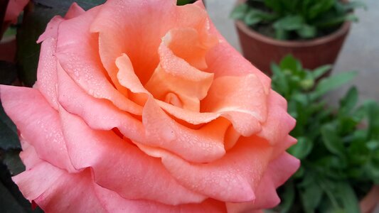 Love nature rain