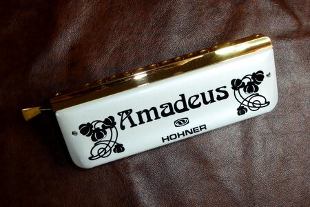 White amadeus standing