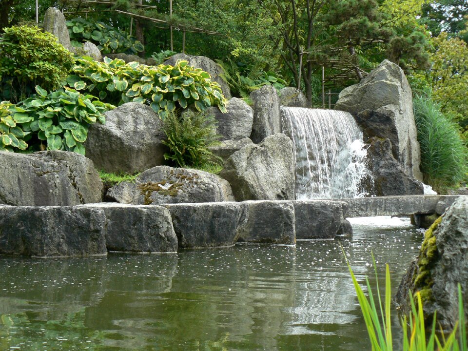 Garden japanese water